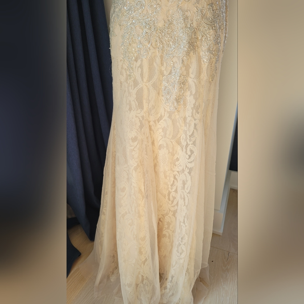 DAVIDS BRIDAL | Champagne Lace Beaded Dress - Picture 12 of 16